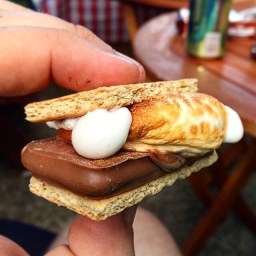 Behold, the Tim Tam smore